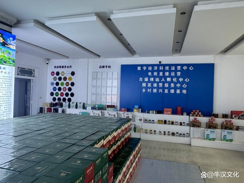 网店代运营行业的现状与未来趋势