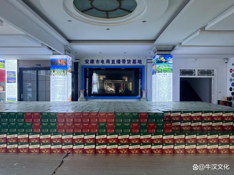 电商运营风云再起:新趋势引领未来潮流